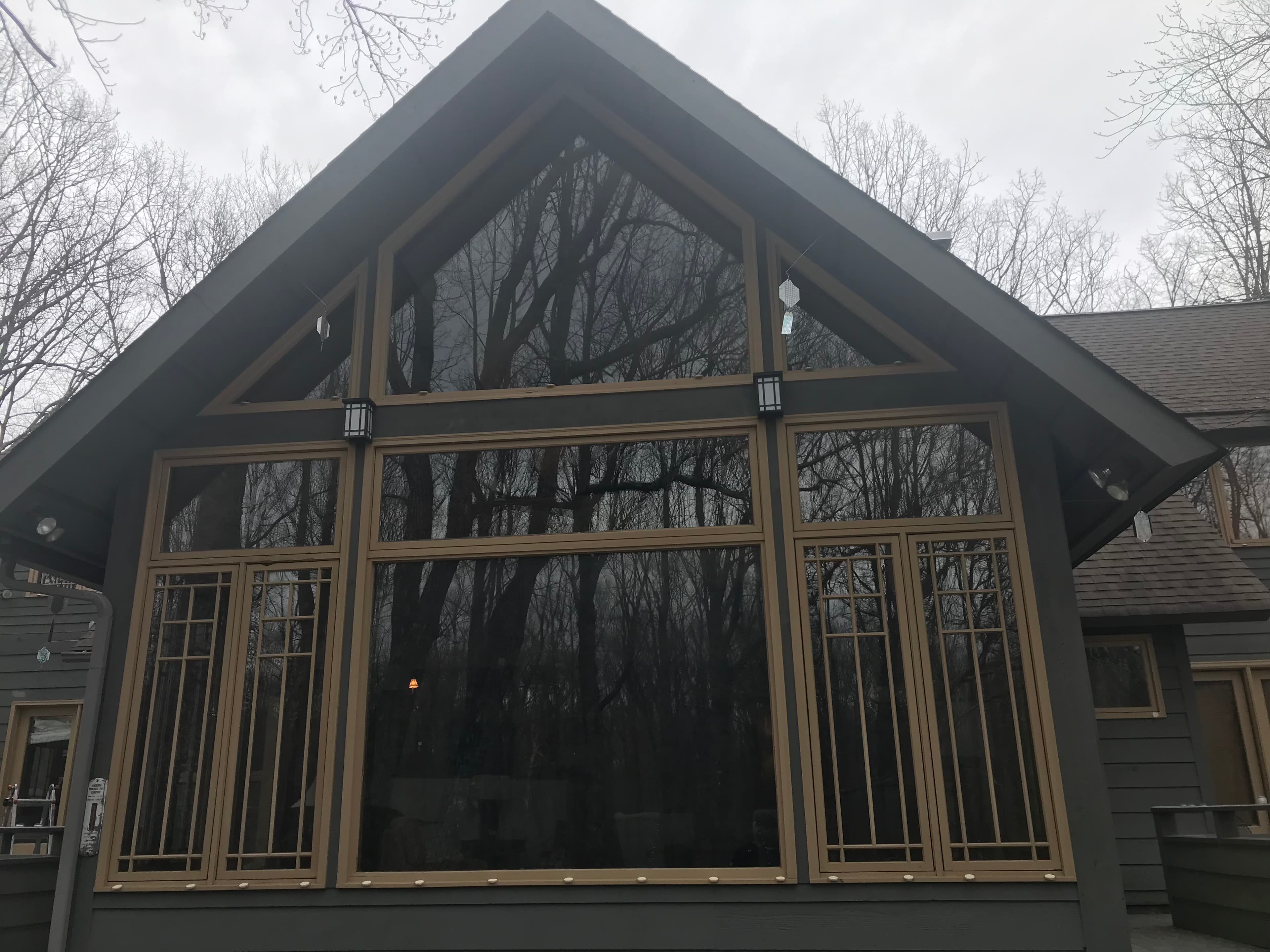 Residential home with large windows and bird protection